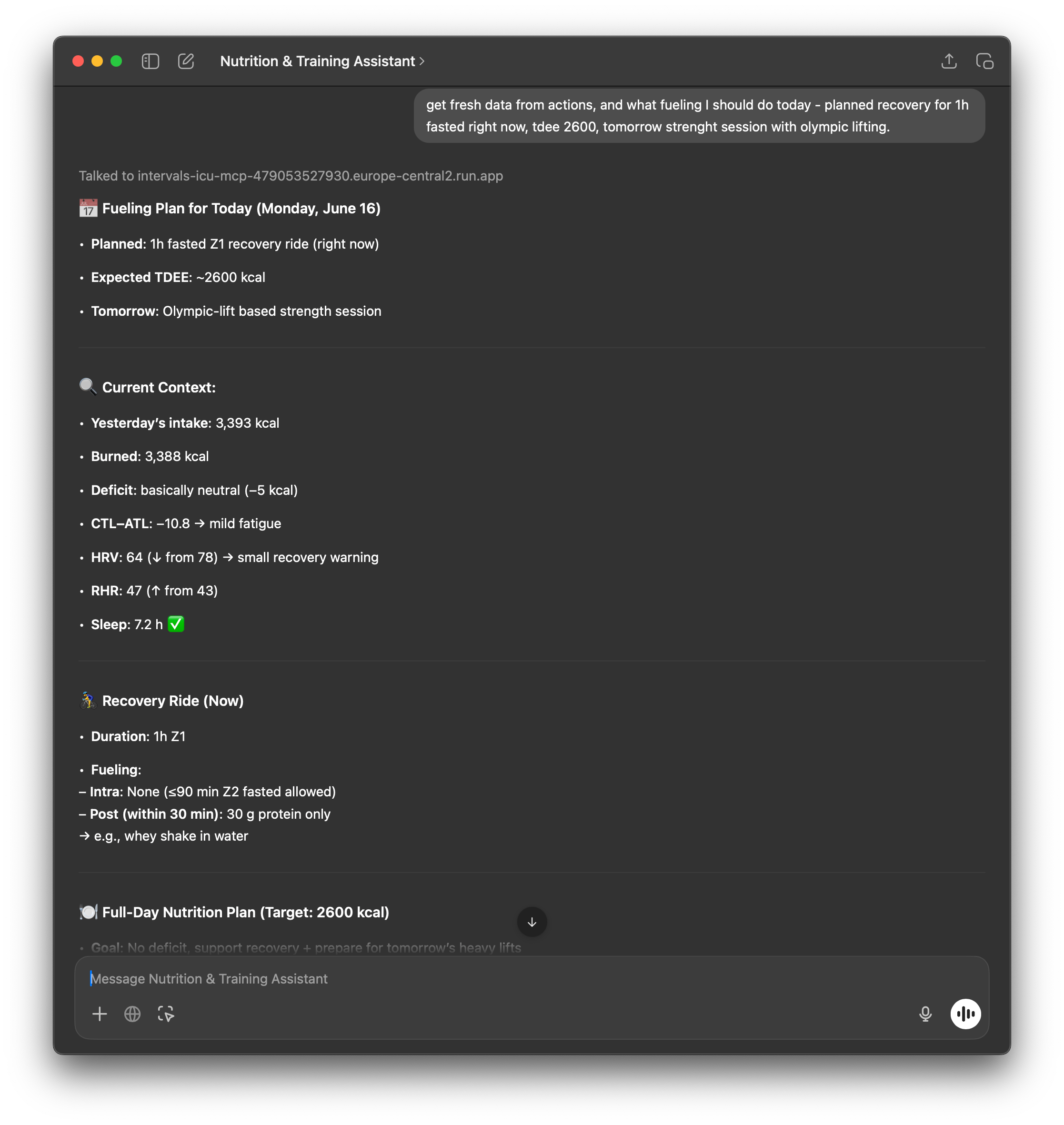 ChatGPT fueling plan